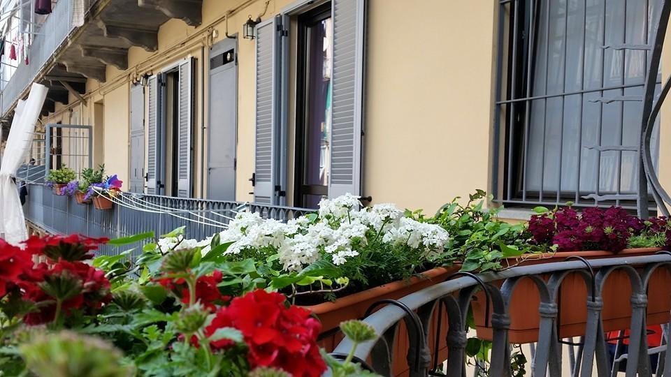 Al Piperita Bed & Breakfast Torino Dış mekan fotoğraf